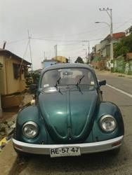 Volkswagen Escarabajo escarabajo