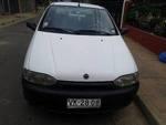 Fiat Palio young