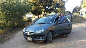 Peugeot 206 XR 1.6